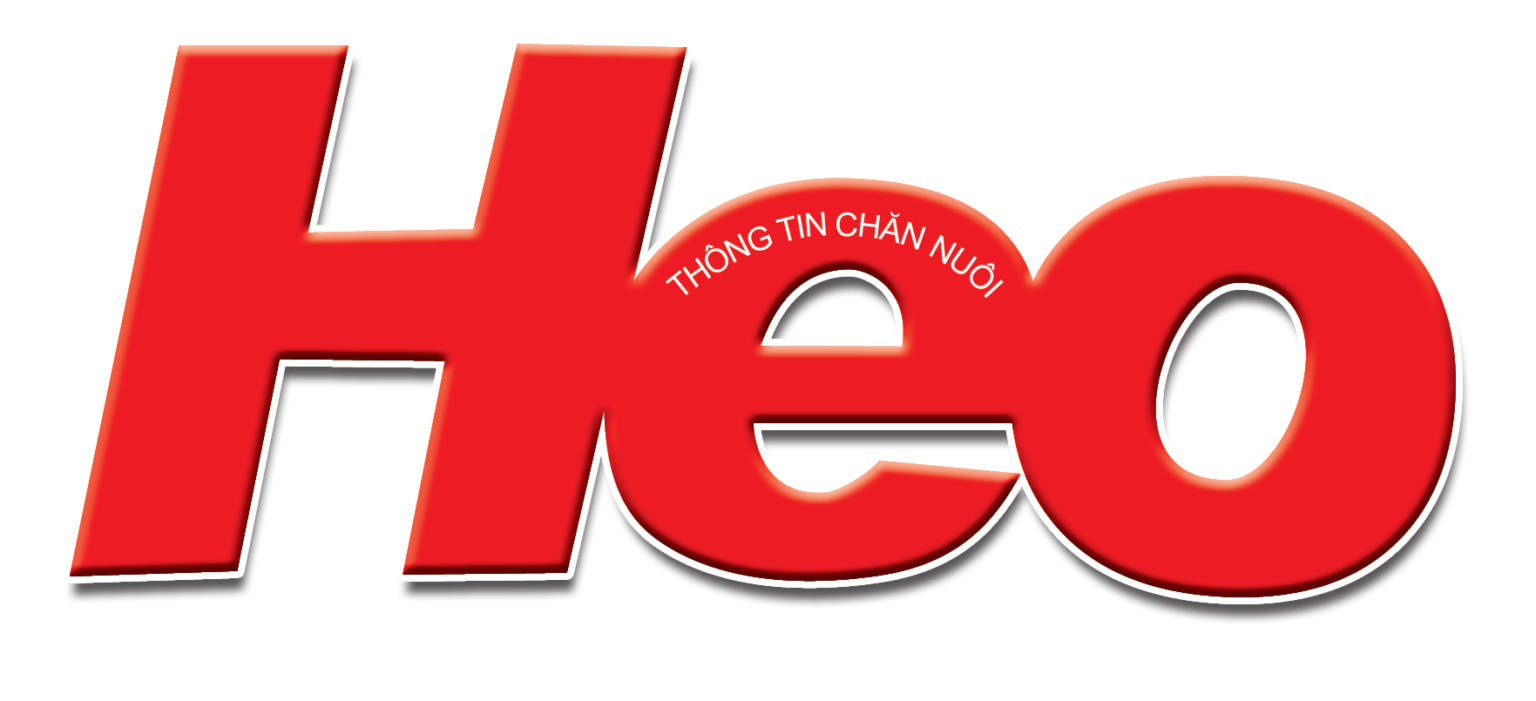 bet4win казино