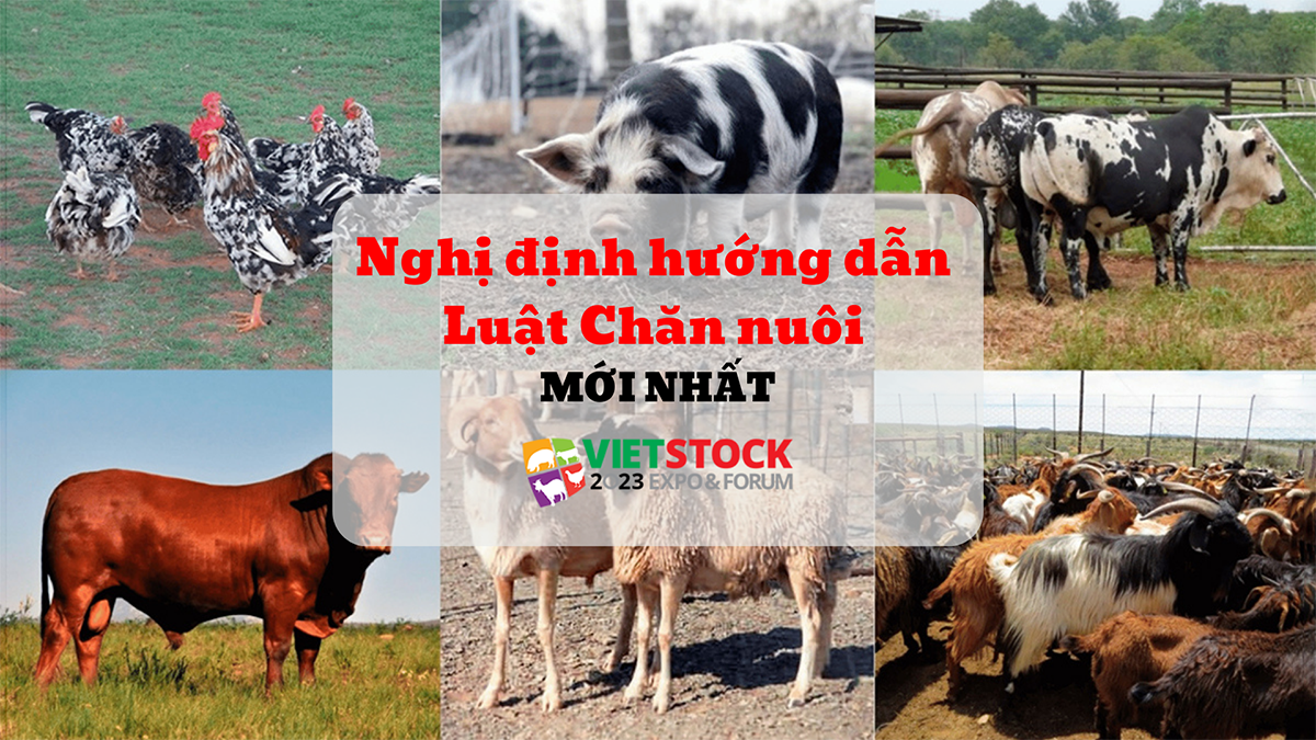 huong dan nghi dinh luat chan nuoi