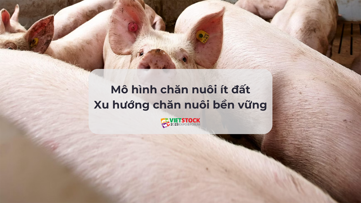 mo hinh chan nuoi it dat 12