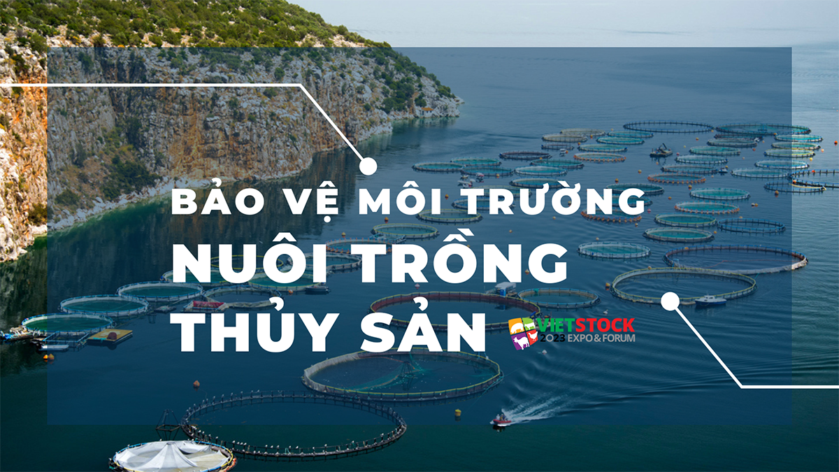 bao ve moi truong trong nuoi trong thuy san 1