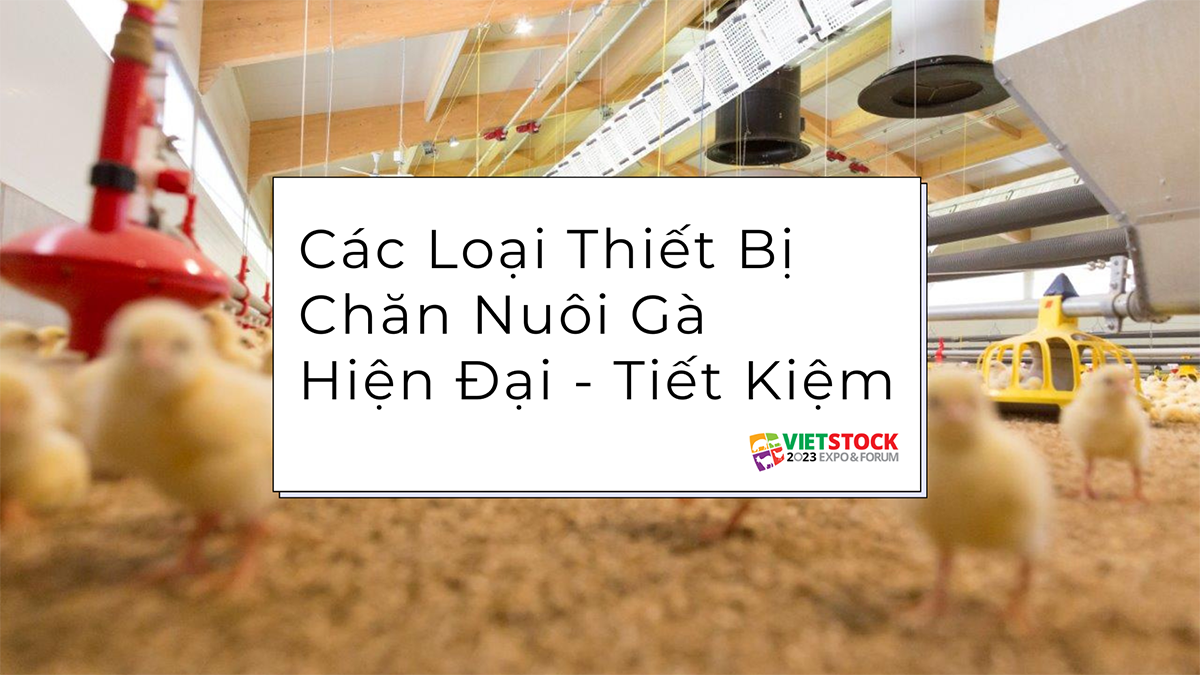 cac loai thiet bi chan nuoi ga hien dai 1