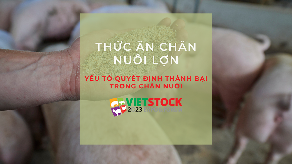 cac loai thuc an chan nuoi 1