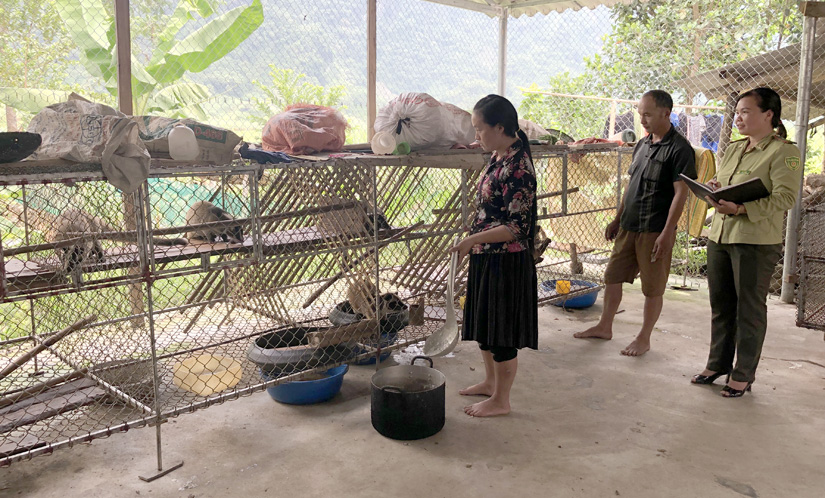 Cán bộ kiểm tra cơ sở nuôi động vật hoang dã trong lồng