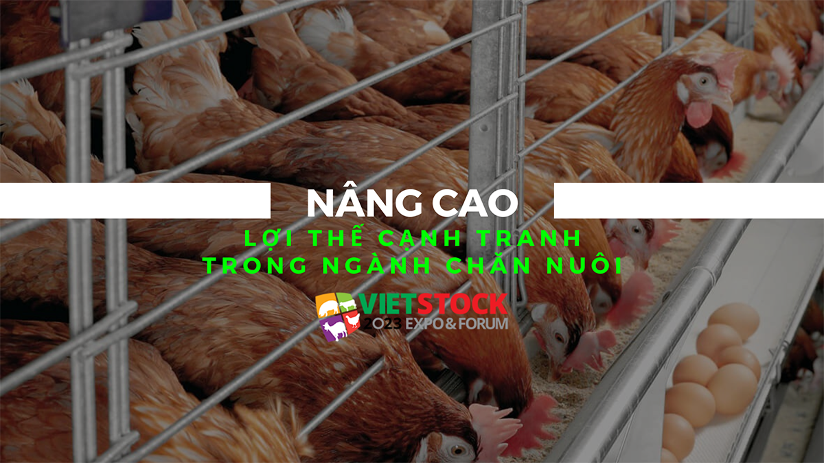 nang cao loi the canh tranh trong nganh chan nuoi 1