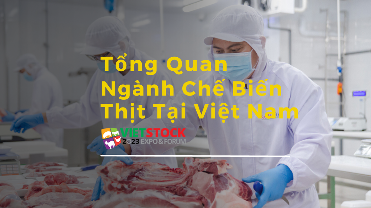 tong quan nganh che bien thit tai viet nam 1