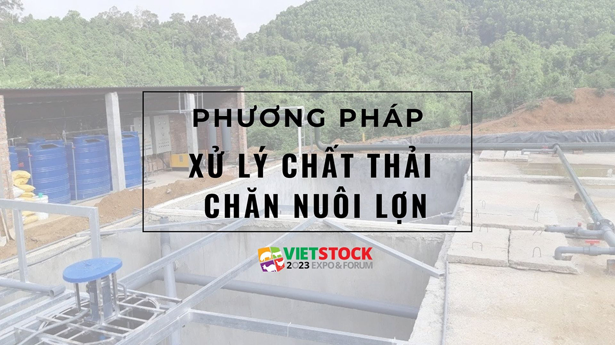 xu-ly-chat-thai-chan-nuoi-lon-1
