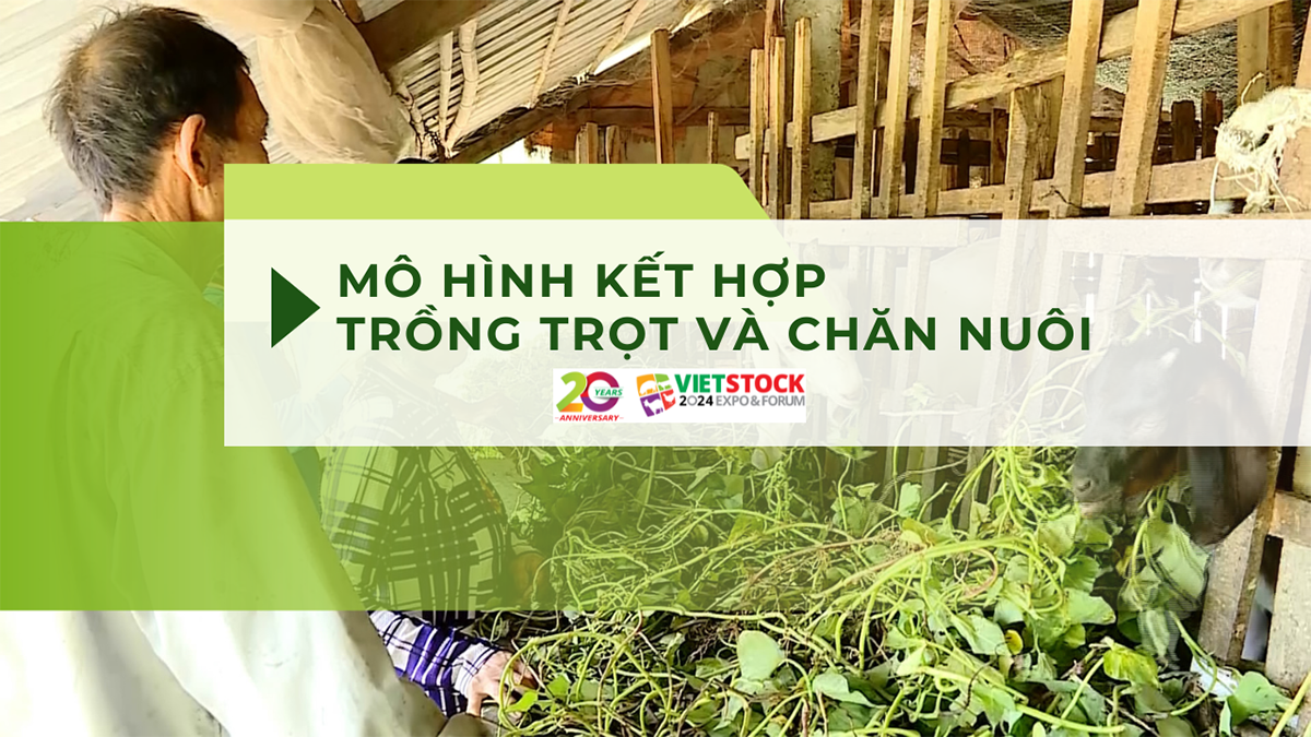 chan nuoi ket hop trong trot 1