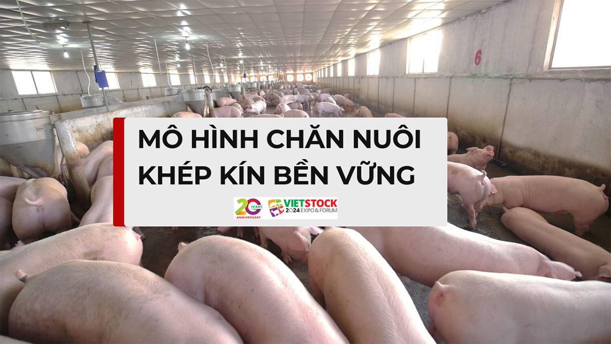 chan nuoi khep kin 1