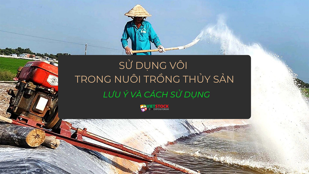 su dung voi trong nuoi trong thuy san 1