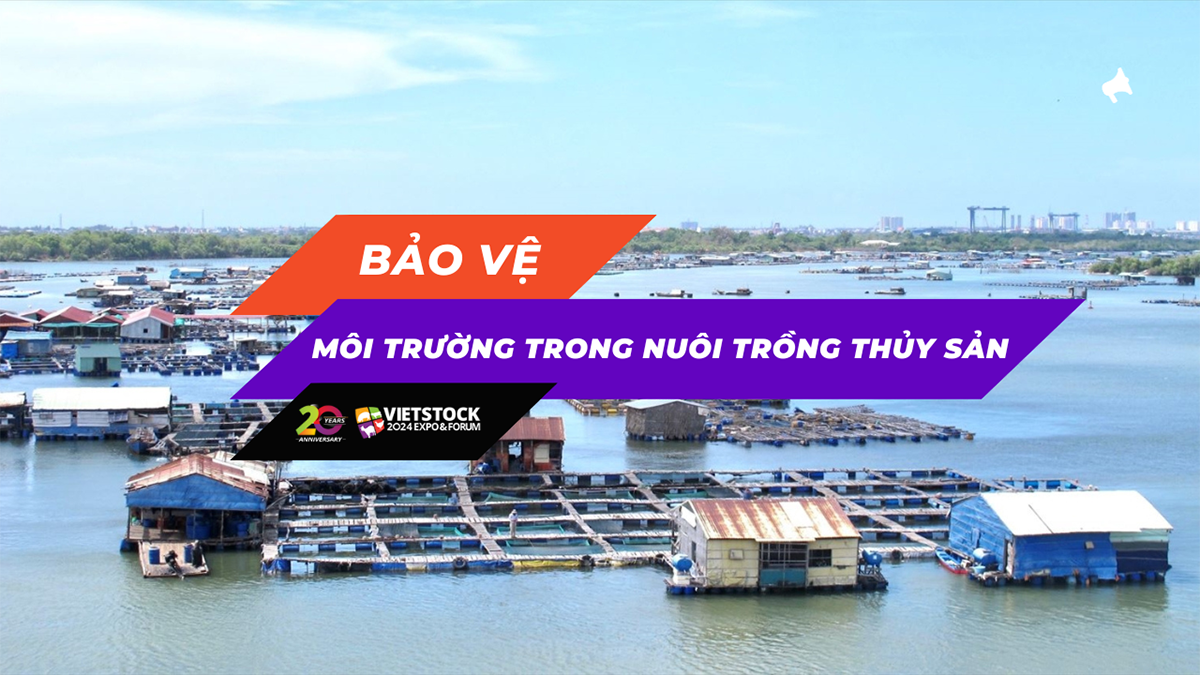 bao ve moi truong nuoi trong thuy san 1