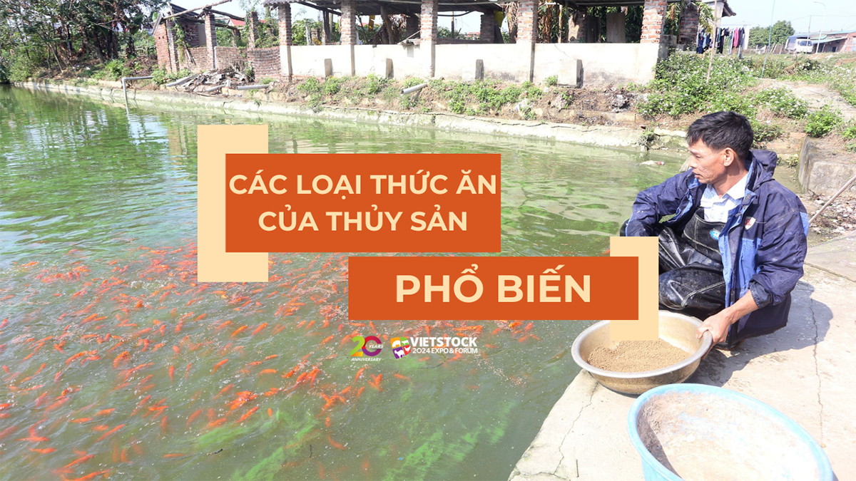 cac loai thuc an thuy san 1