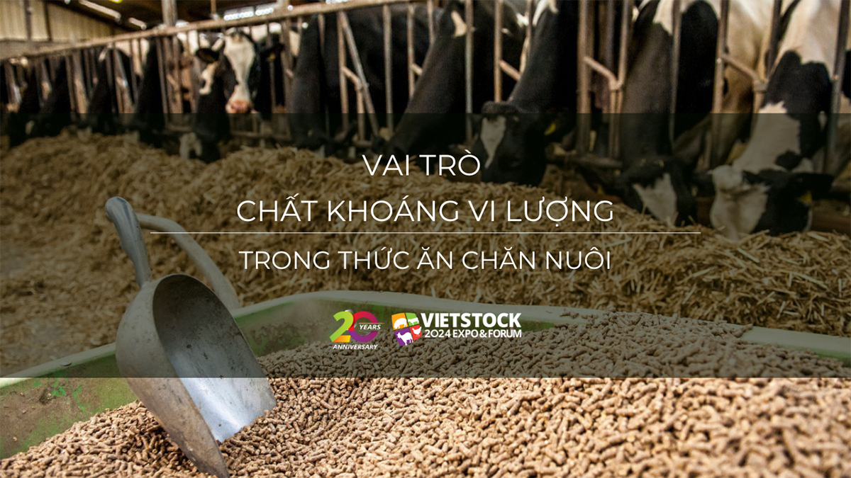 khoang vi luong trong thuc an chan nuoi 1