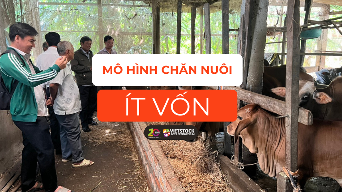 mo hinh chan nuoi it von 1