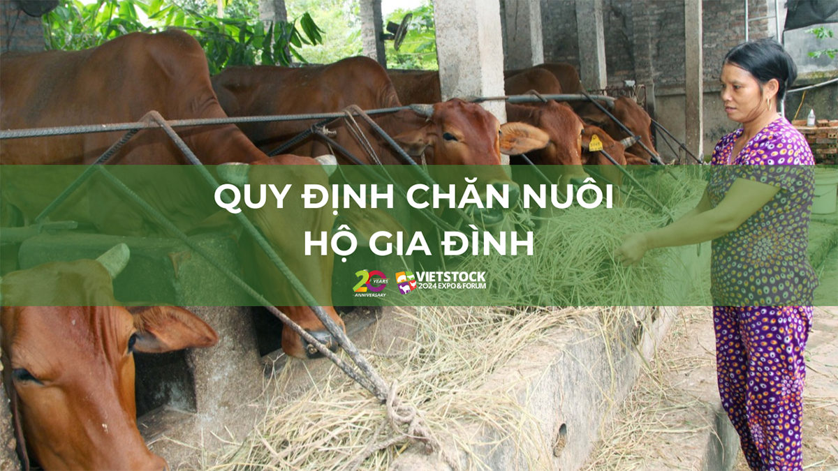 quy dinh chan nuoi ho gia dinh 1