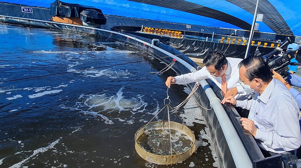 Nhân viên kiểm tra chất lượng nước tại khu nuôi thủy sản