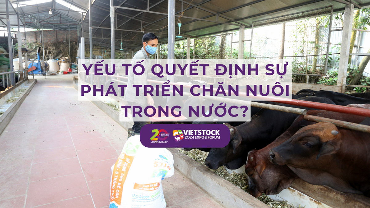 yeu to quyet dinh su phat trien chan nuoi 1