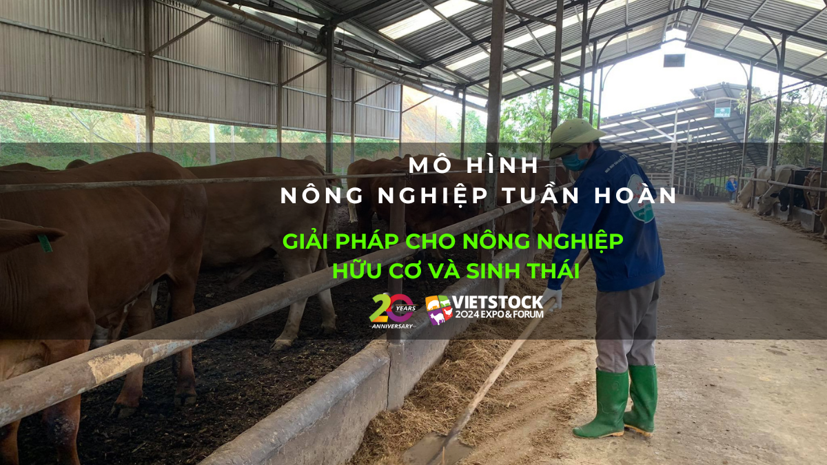 mo hinh nong nghiep tuan hoan 1