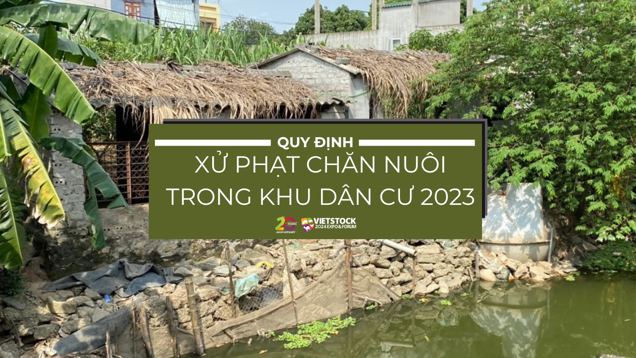 quy dinh xu phat chan nuoi trong khu dan cu 1