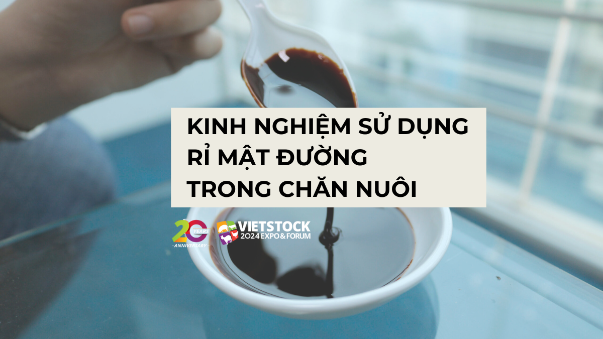 ri mat duong trong chan nuoi 1