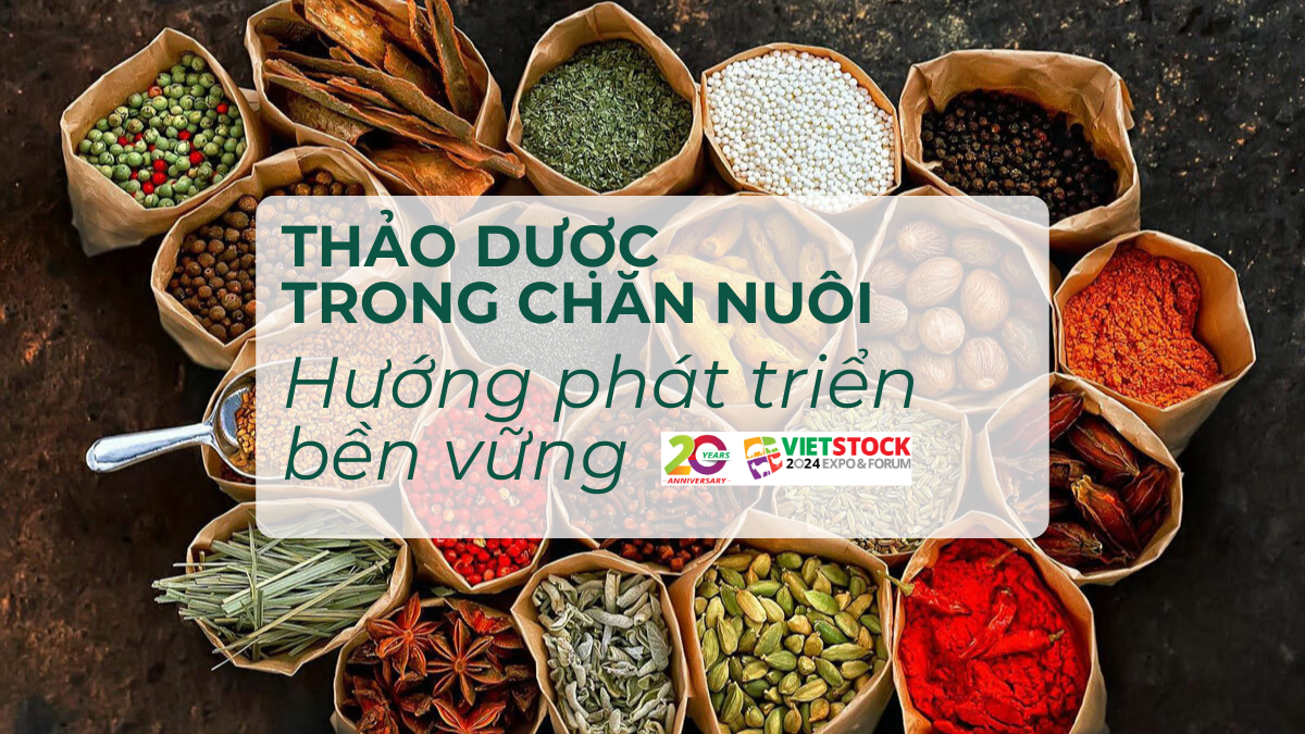 thao duoc trong chan nuoi 1