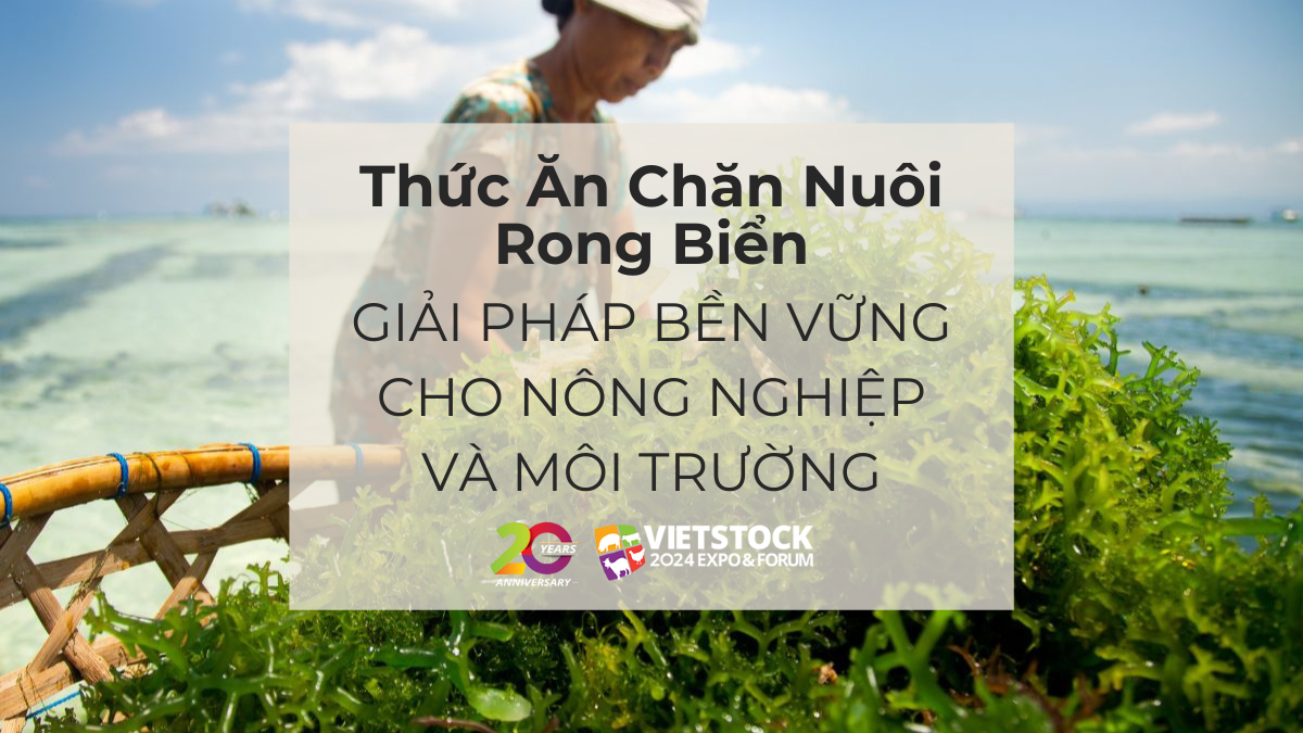 thuc an chan nuoi rong bien 1