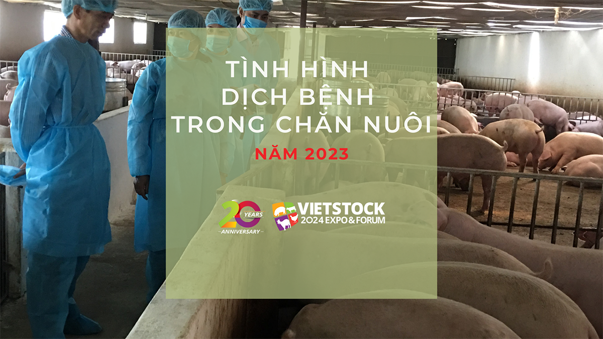 tinh hinh dich benh chan nuoi 2023