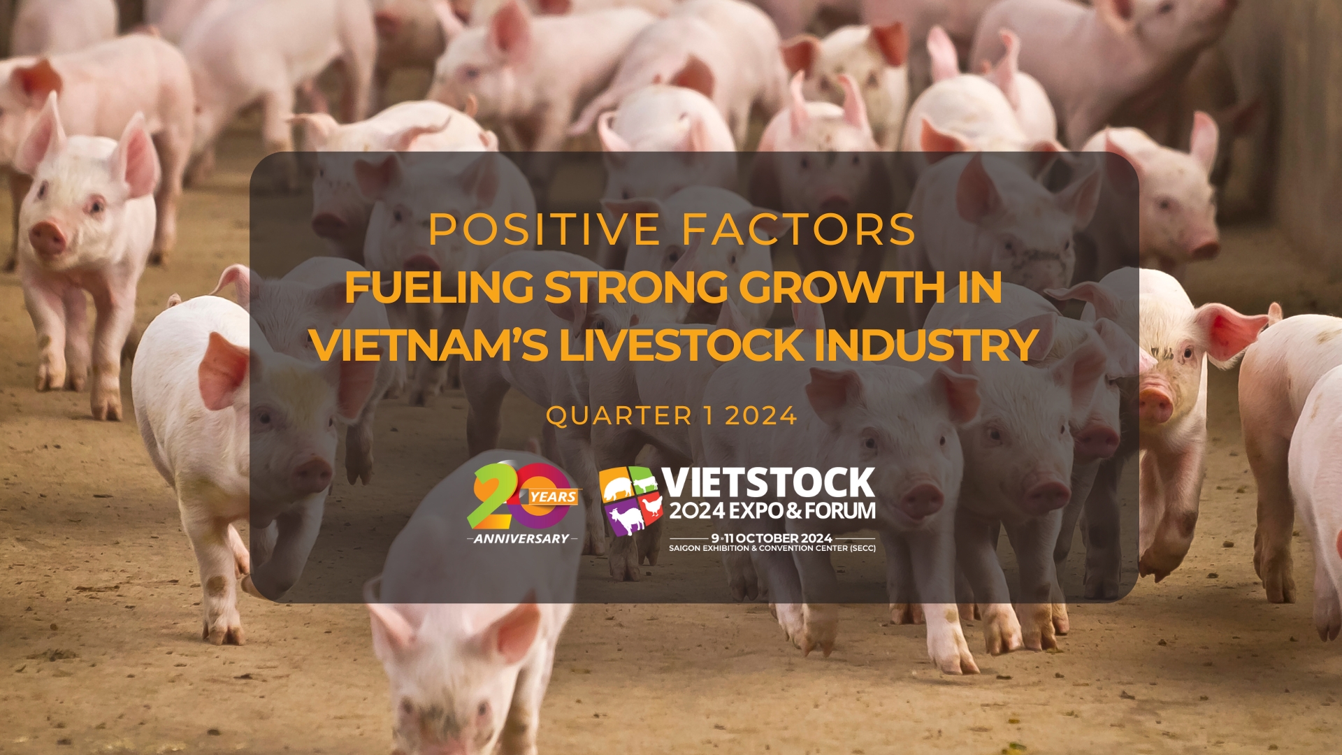 POSITIVE FACTORS FUELING STRONG GROWTH IN VIETNAM’S LIVESTOCK INDUSTRY IN Q1/2024