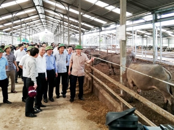 Xu hướng ứng dụng khoa học kỹ thuật vào chăn nuôi đang được các hộ chăn nuôi, doanh nghiệp tích cực áp dụng, mang lại những lợi ích thiết thực
