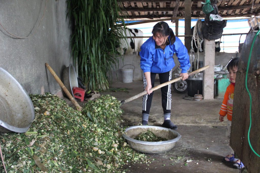 Phụ phẩm nông nghiệp là những sản phẩm phụ phát sinh trong các hoạt động sản xuất nông nghiệp, bao gồm trồng trọt, chăn nuôi, khai thác thủy sản, lâm nghiệp