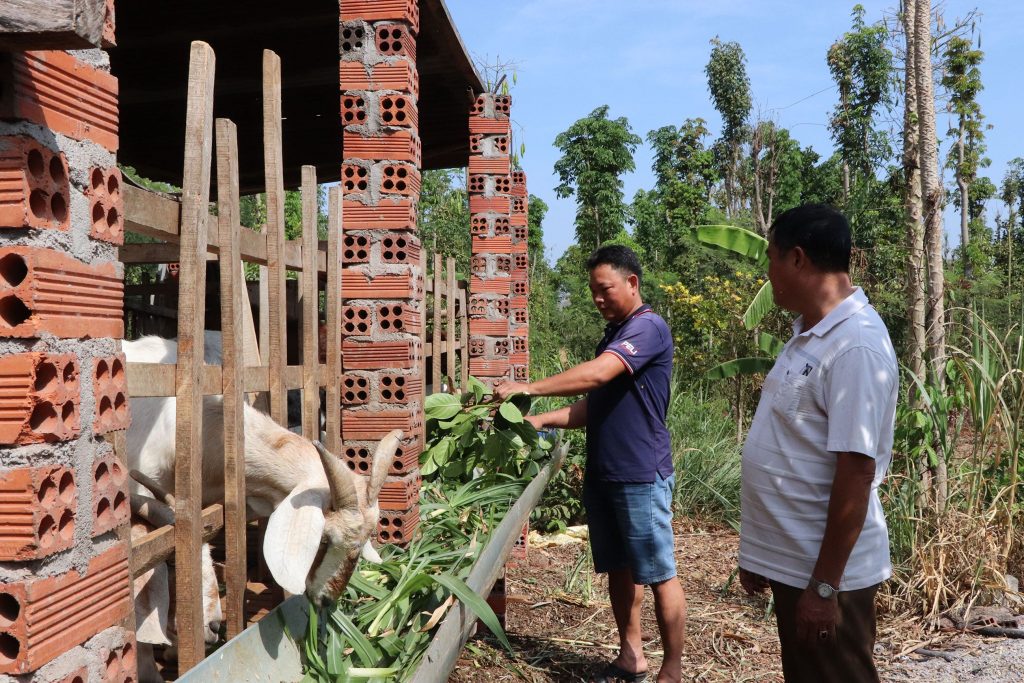 Phụ phẩm nông nghiệp từ thân, cành, lá cây trồng