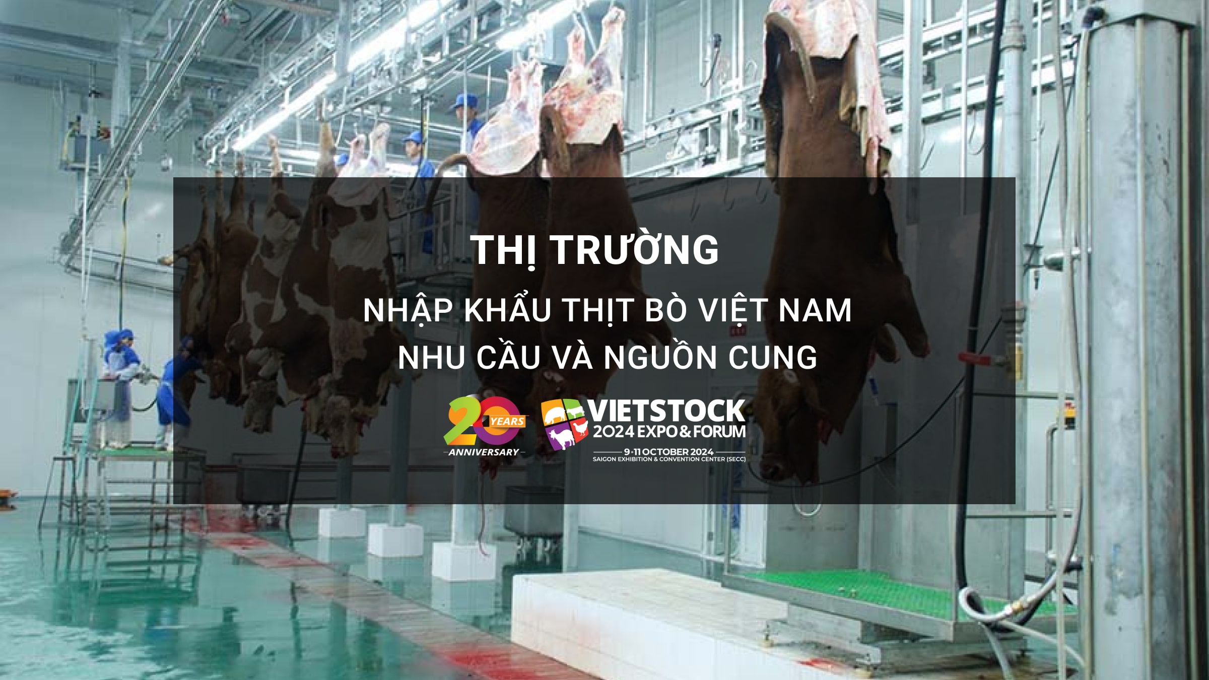 Thị trường nhập khẩu thịt trâu bò Việt Nam: Nhu cầu và nguồn cung