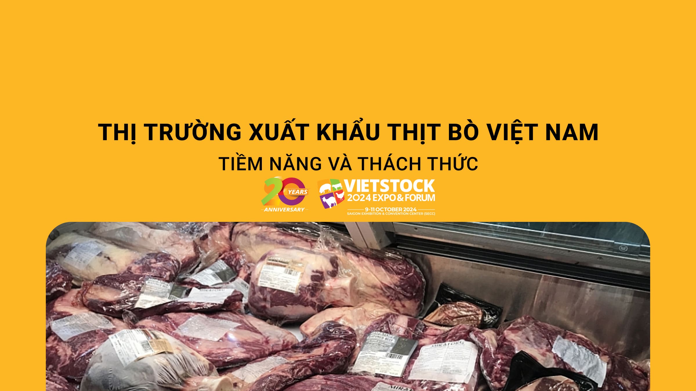Thị trường xuất khẩu thịt bò Việt Nam – Tiềm năng và thách thức