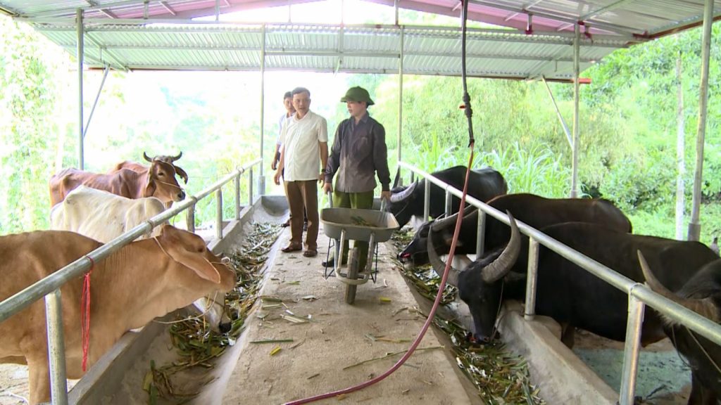 Sự kết hợp ưu điểm của hai mô hình truyền thống và công nghiệp, vừa đảm bảo năng suất và chất lượng sản phẩm, vừa tiết kiệm chi phí đầu tư