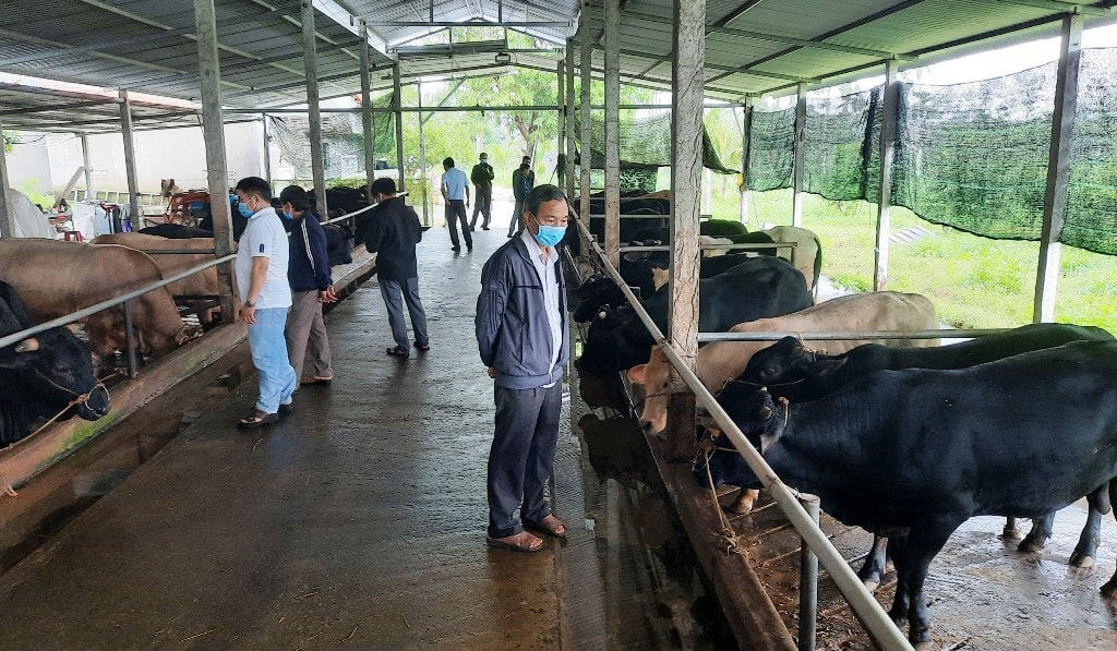 Việc nắm bắt và ứng dụng xu hướng là một cách hiệu quả sẽ giúp người chăn nuôi gia tăng lợi nhuận