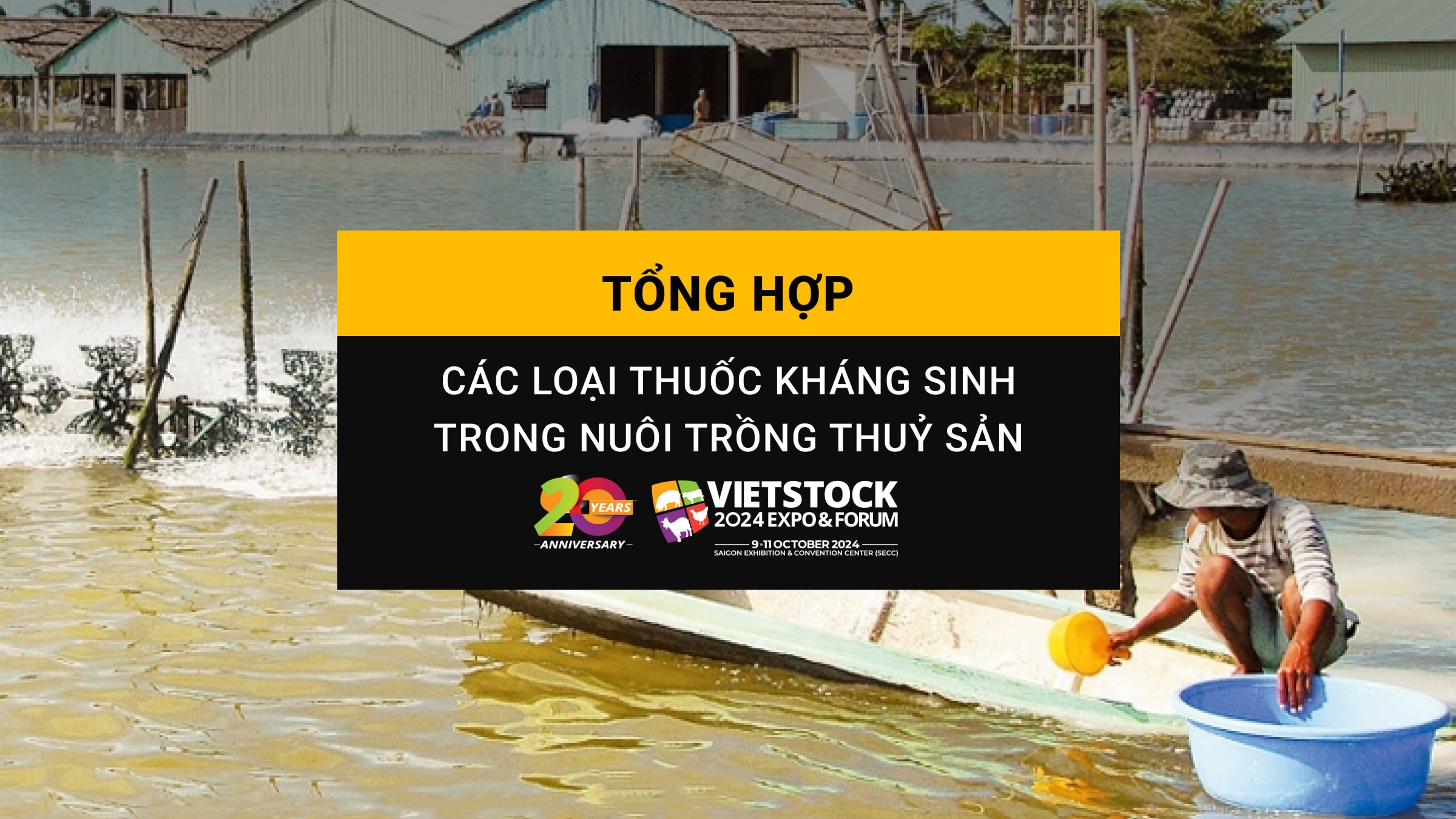 Các loại thuốc kháng sinh trong nuôi trồng thủy sản