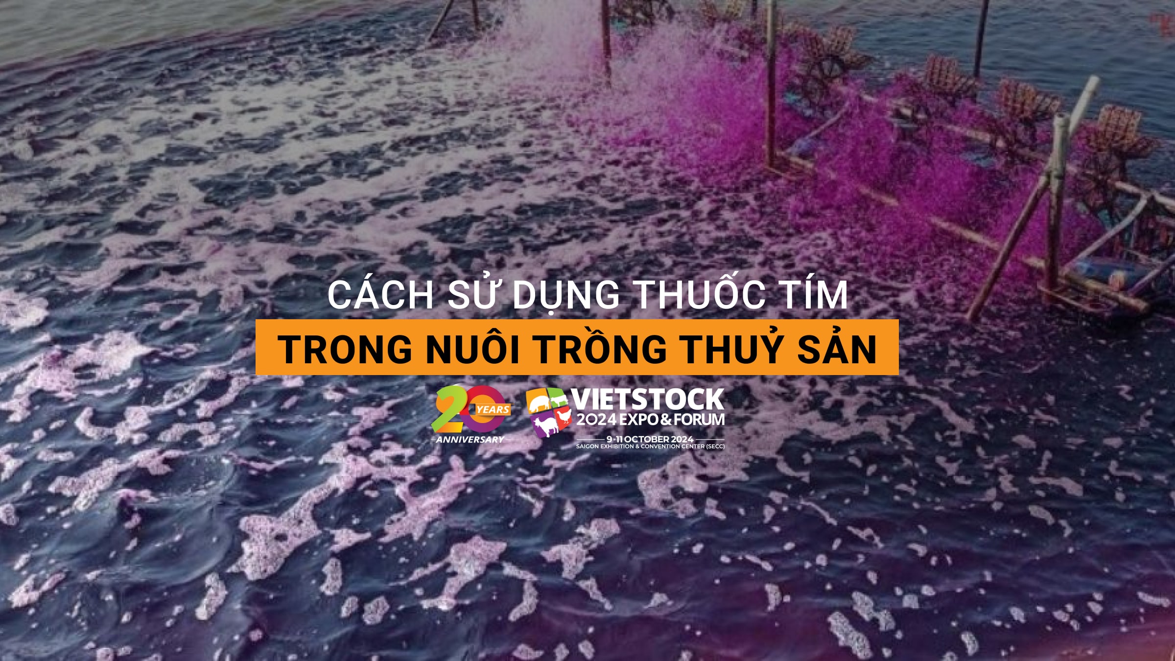 Cách sử dụng thuốc tím trong nuôi trồng thủy sản