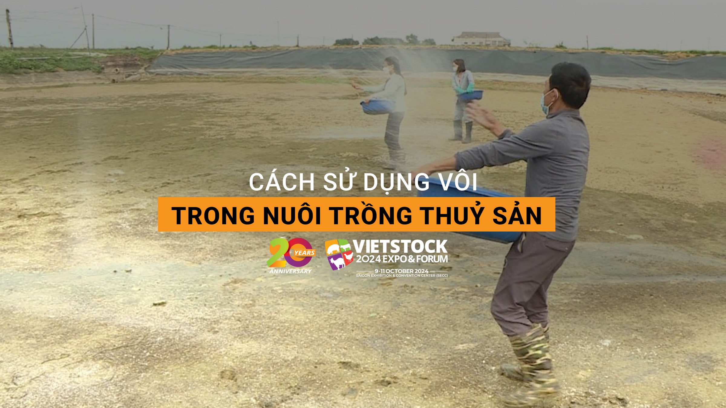 Cách sử dụng vôi trong nuôi trồng thủy sản