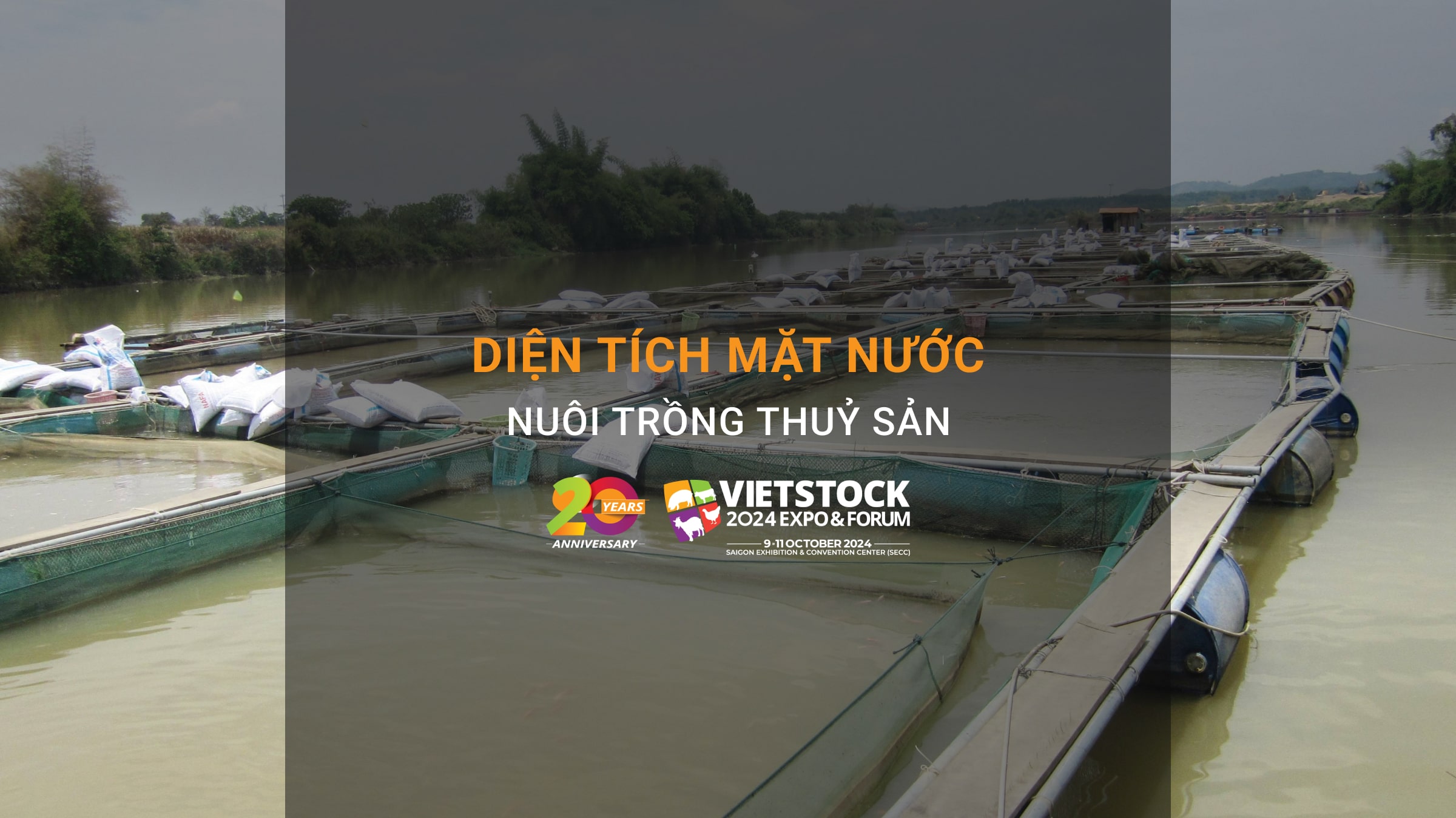 Tìm hiểu kiến thức về diện tích mặt nước nuôi trồng thủy sản