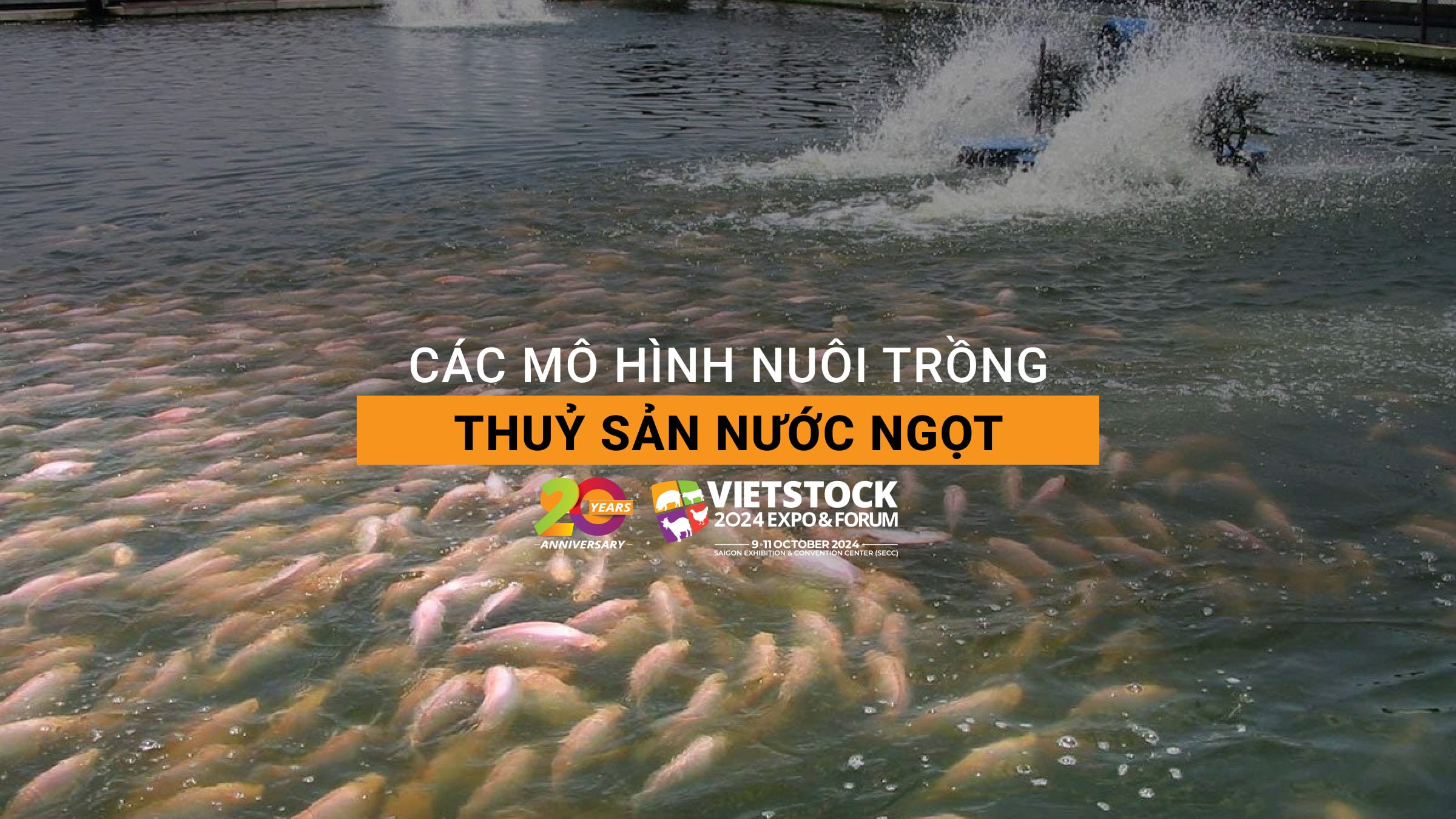 Các mô hình nuôi trồng thuỷ sản nước ngọt hiện nay