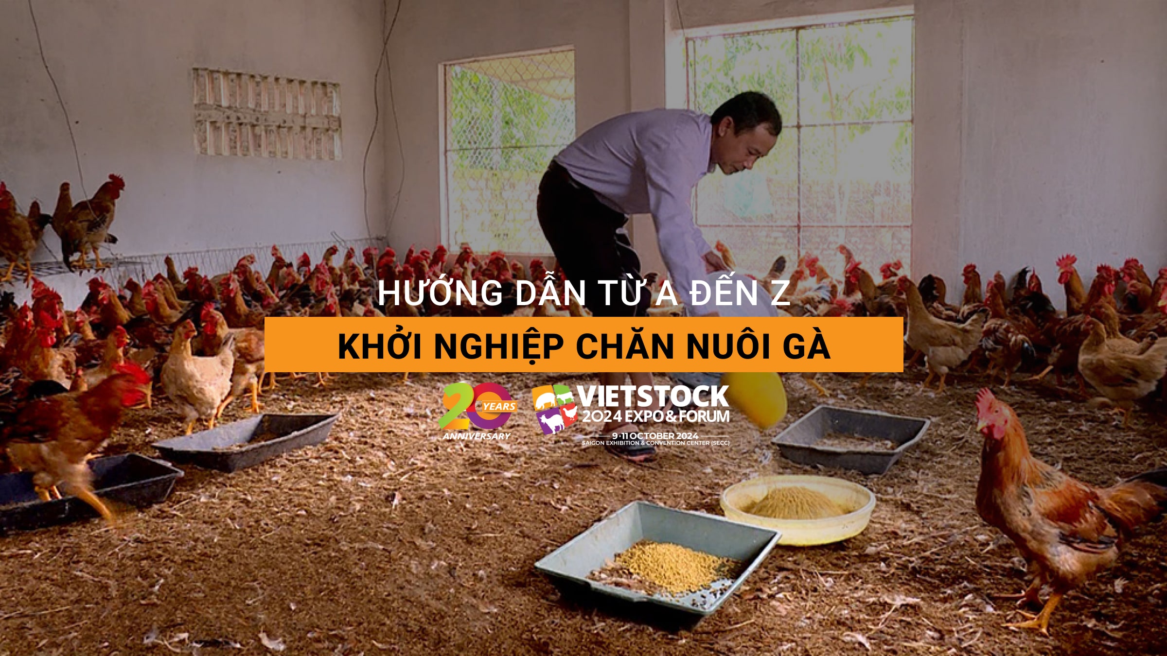 Khởi nghiệp chăn nuôi gà: Hướng dẫn từ A đến Z - Bí quyết thành công
