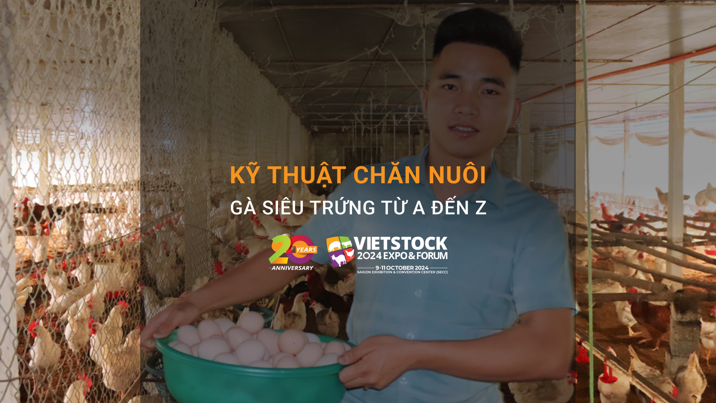 Kỹ thuật chăn nuôi gà siêu trứng từ A đến Z: Nguồn thực phẩm dinh dưỡng, lợi nhuận kép