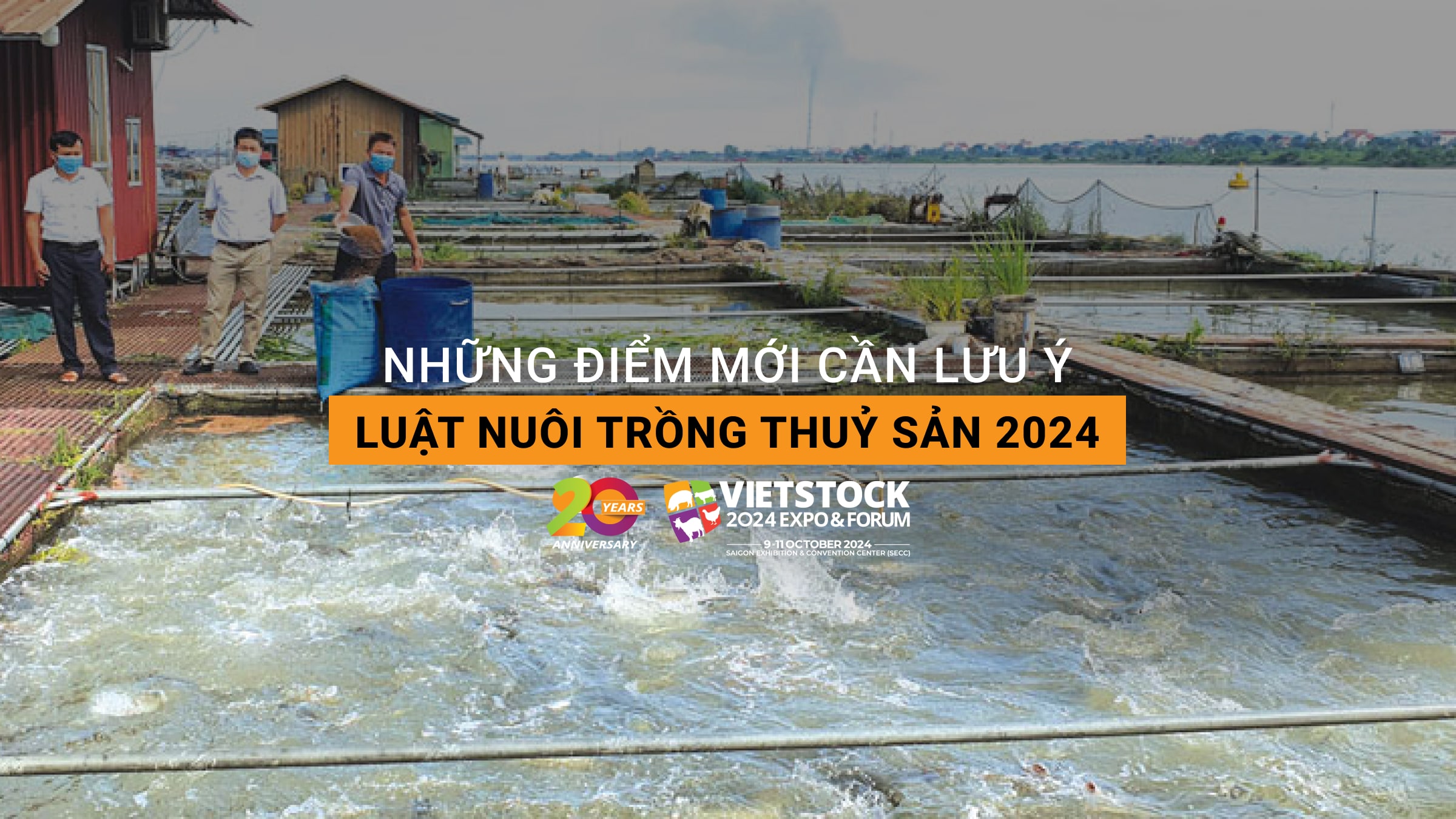 Luật nuôi trồng thủy sản 2024: Những điểm mới cần lưu ý