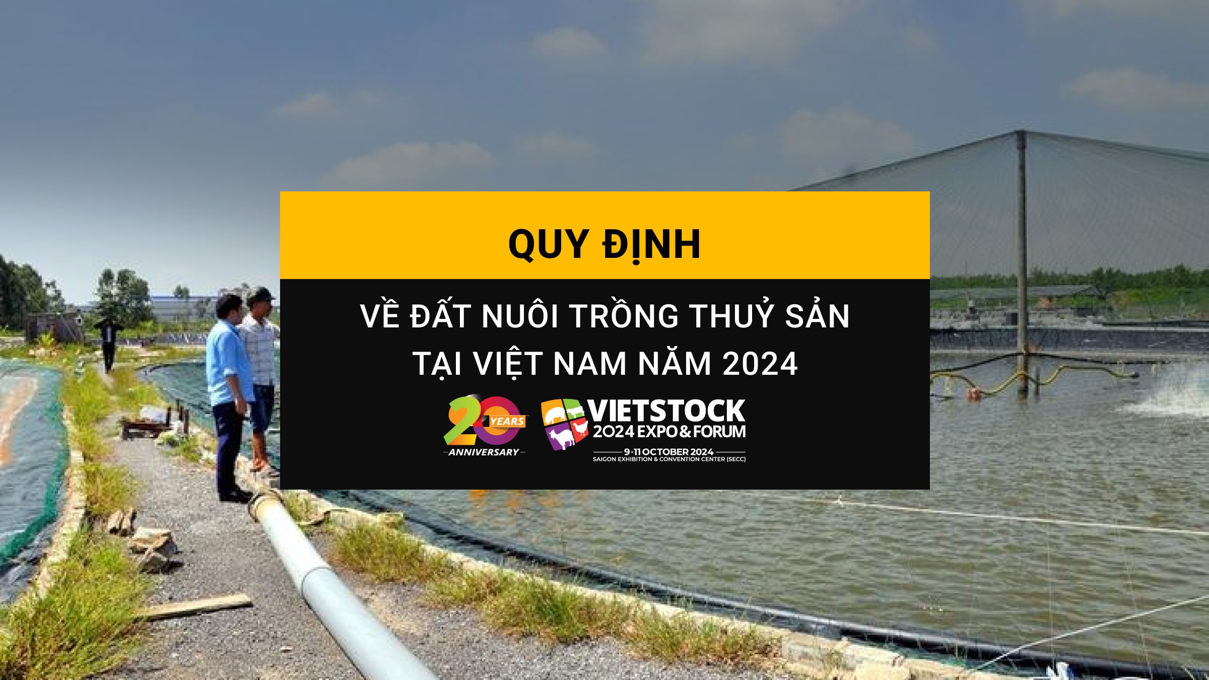 Quy định về đất nuôi trồng thủy sản tại Việt Nam năm 2024