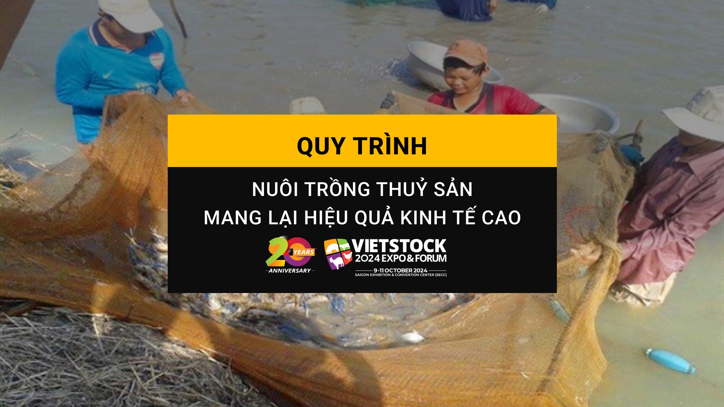 Quy trình nuôi trồng thủy sản mang lại hiệu quả kinh tế cao