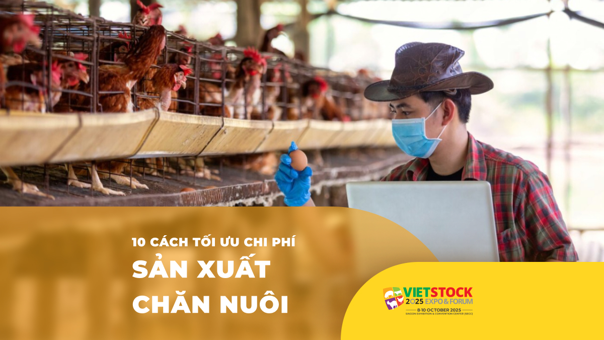 10 Cách Tối Ưu Chi Phí Sản Xuất Trong Chăn Nuôi,jpg