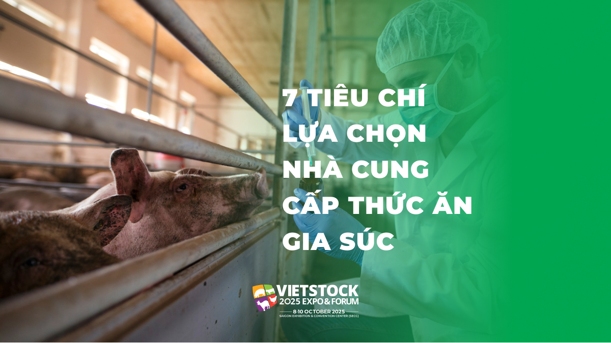 7 Tiêu chí lựa chọn nhà cung cấp thức ăn gia súc uy tín, đảm bảo chất lượng