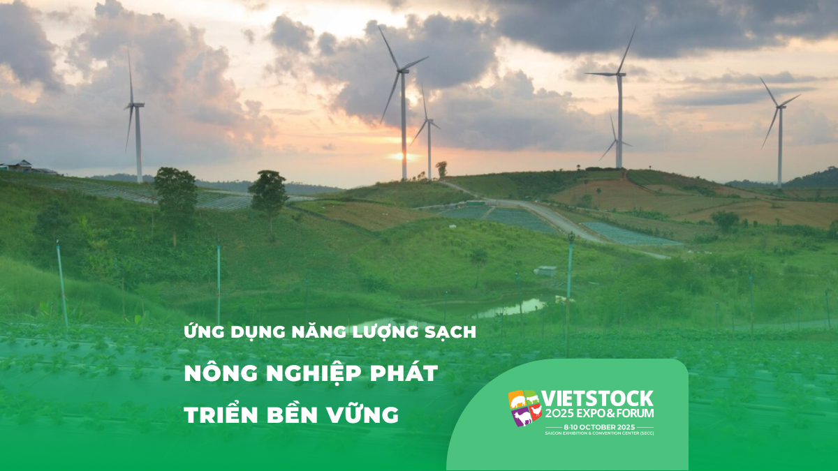 Áp dụng năng lượng sạch trong chăn nuôi