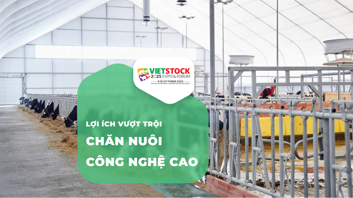 Chăn Nuôi Công Nghệ Cao