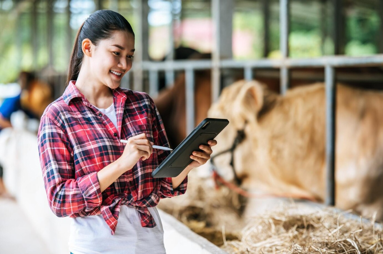 Chiến lược chăn nuôi gia súc