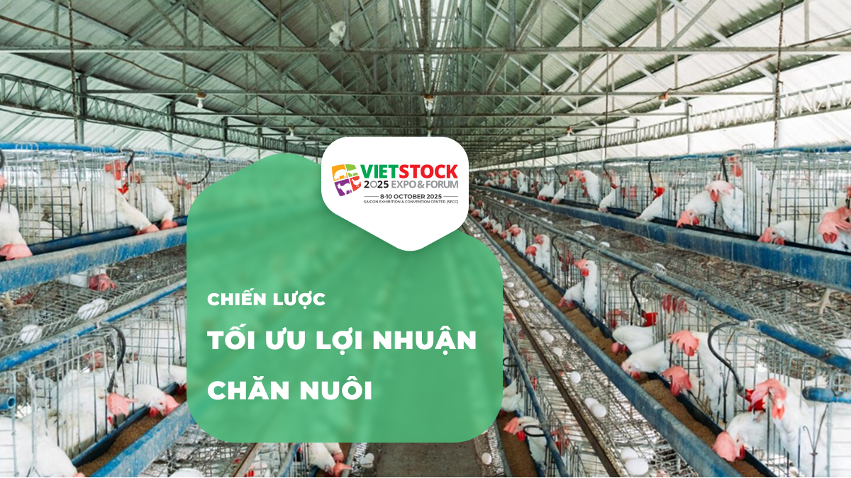 Chiến lược tối ưu lợi nhuận chăn nuôi hiệu quả
